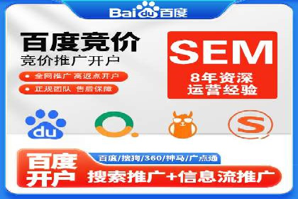 成功SEM服务案例分析报告